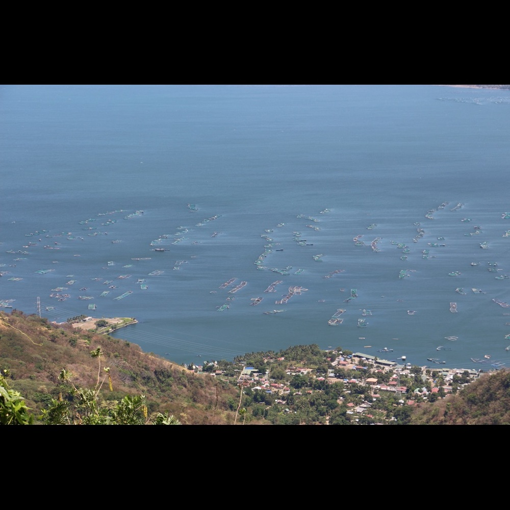 Meet your Posher, Mei